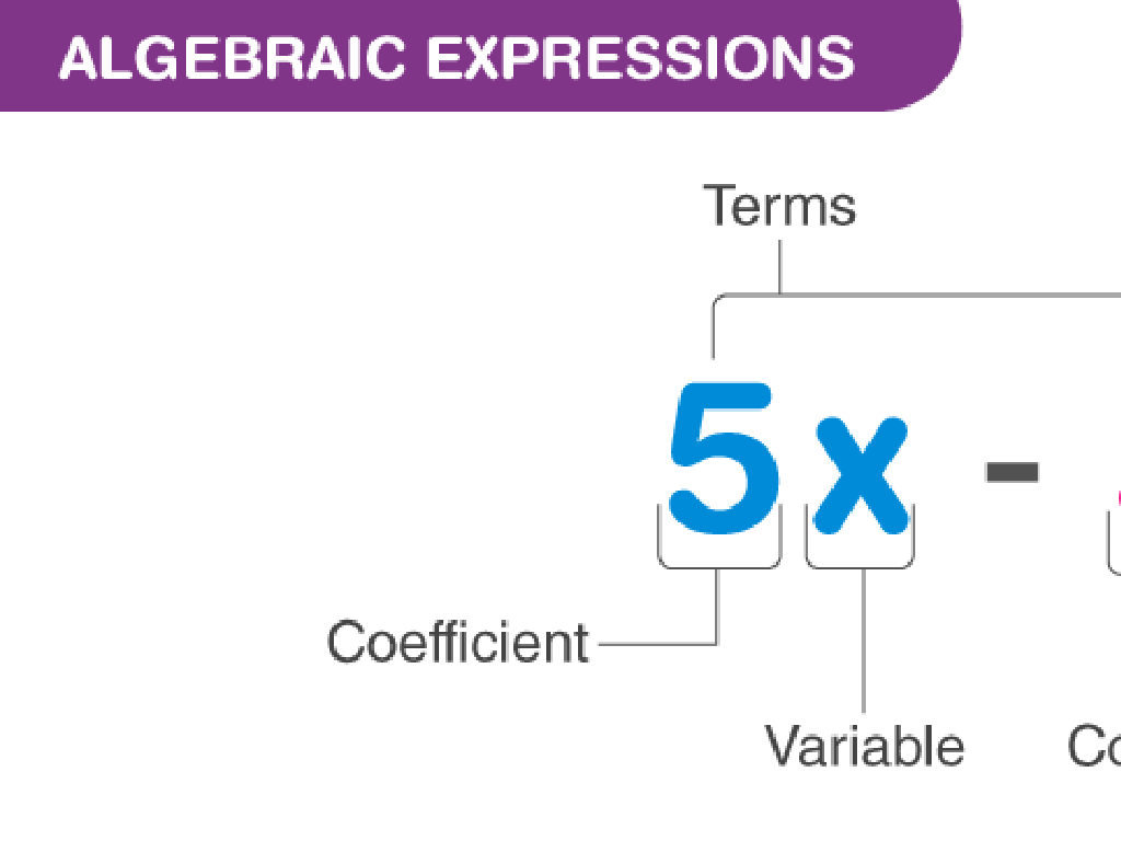 algebra terms coefficient variable