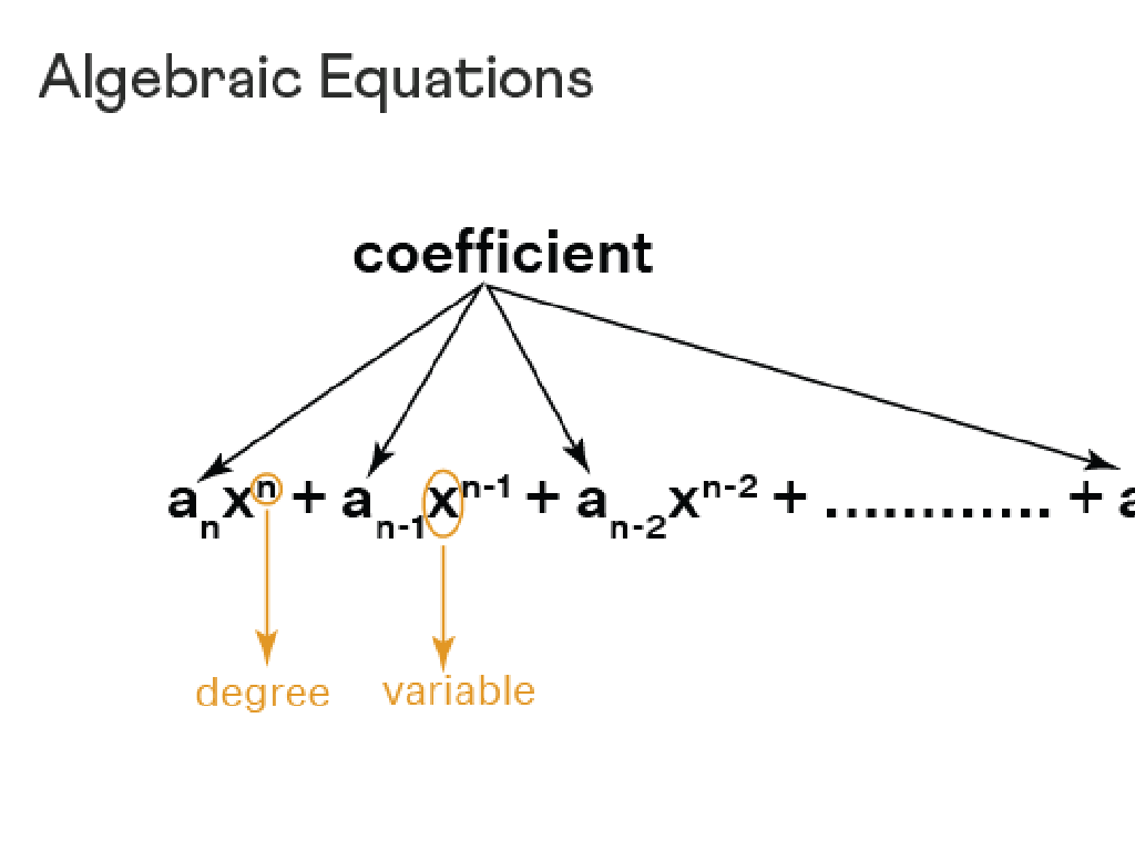 algebraic equation components