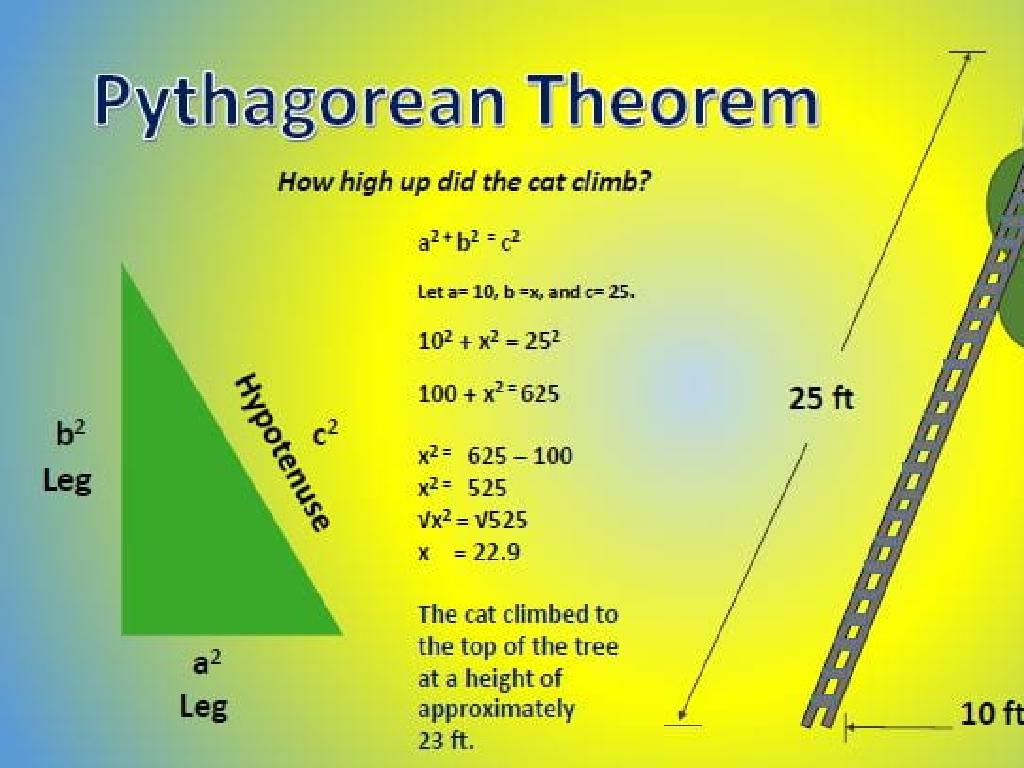 tree ladder pythagorean