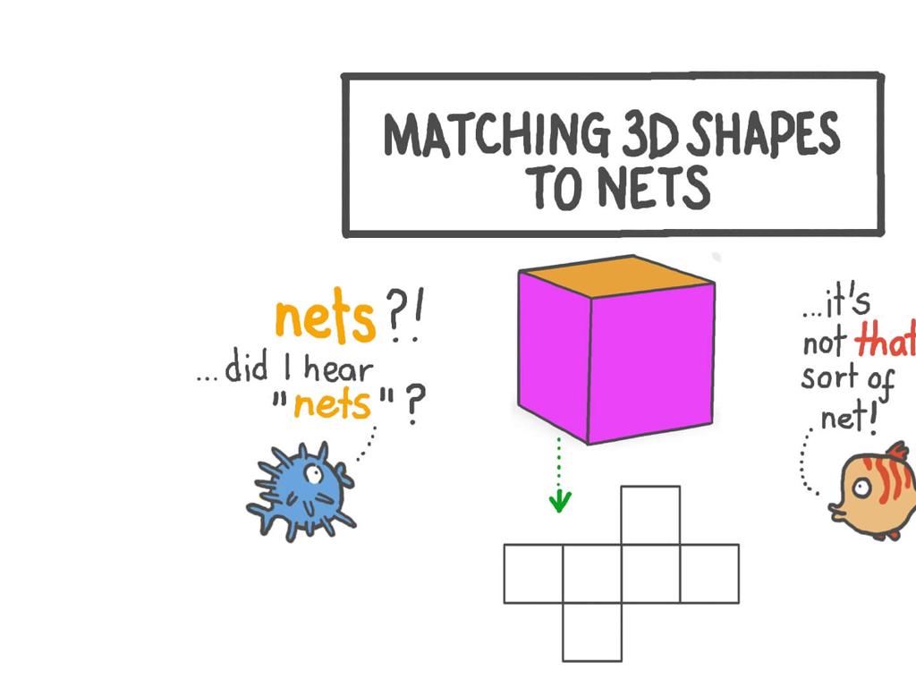 3d shape net cube fish