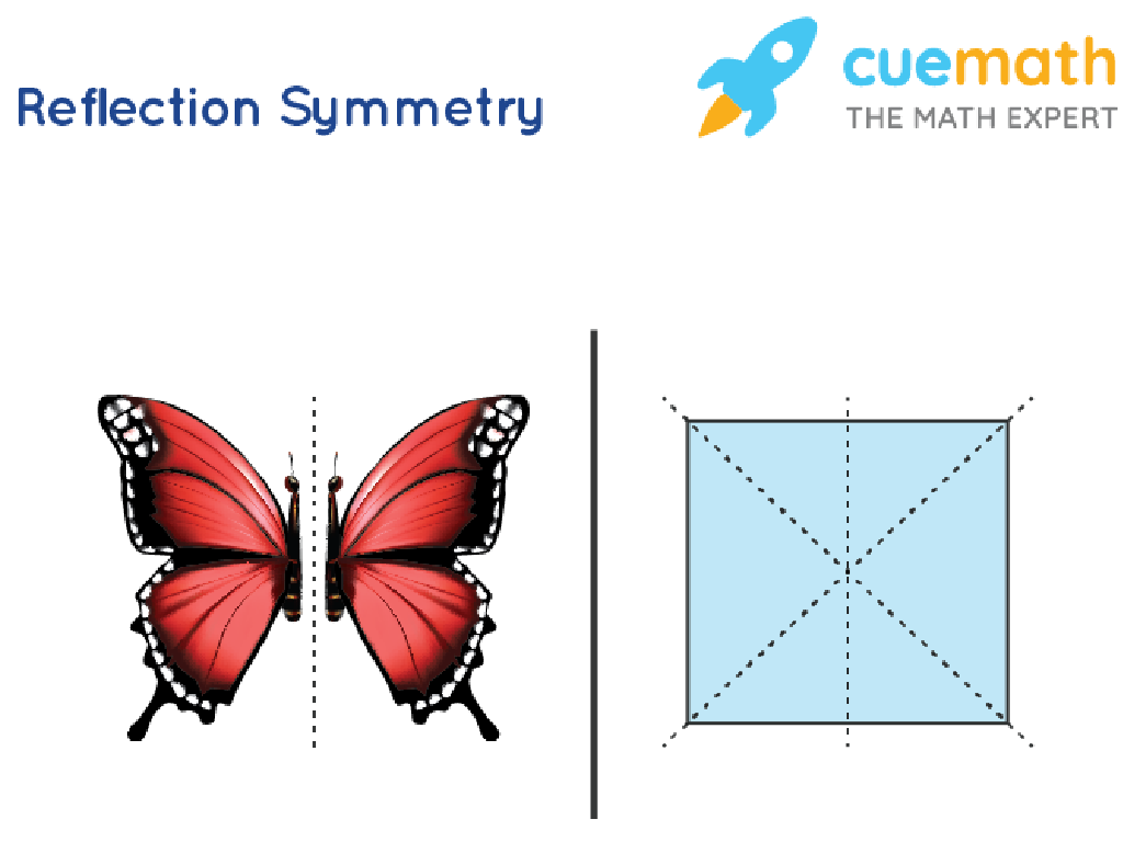 butterfly square symmetry