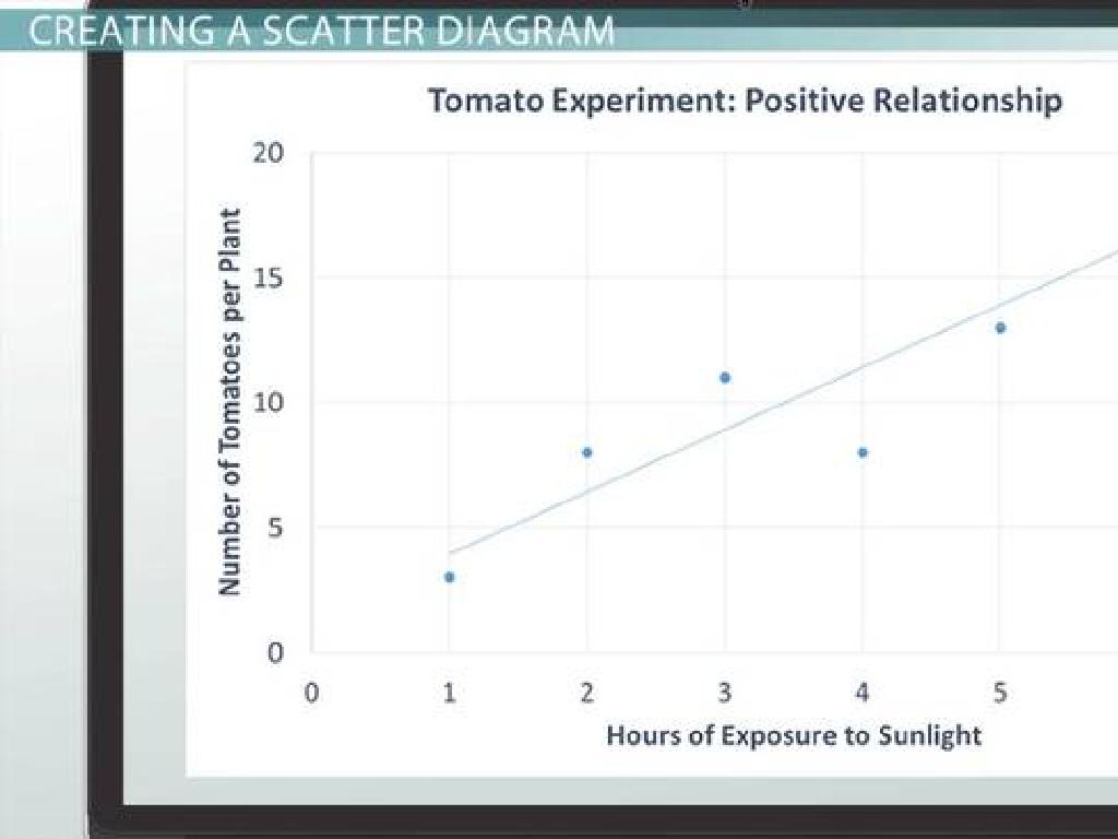 sunlight tomatoes relationship