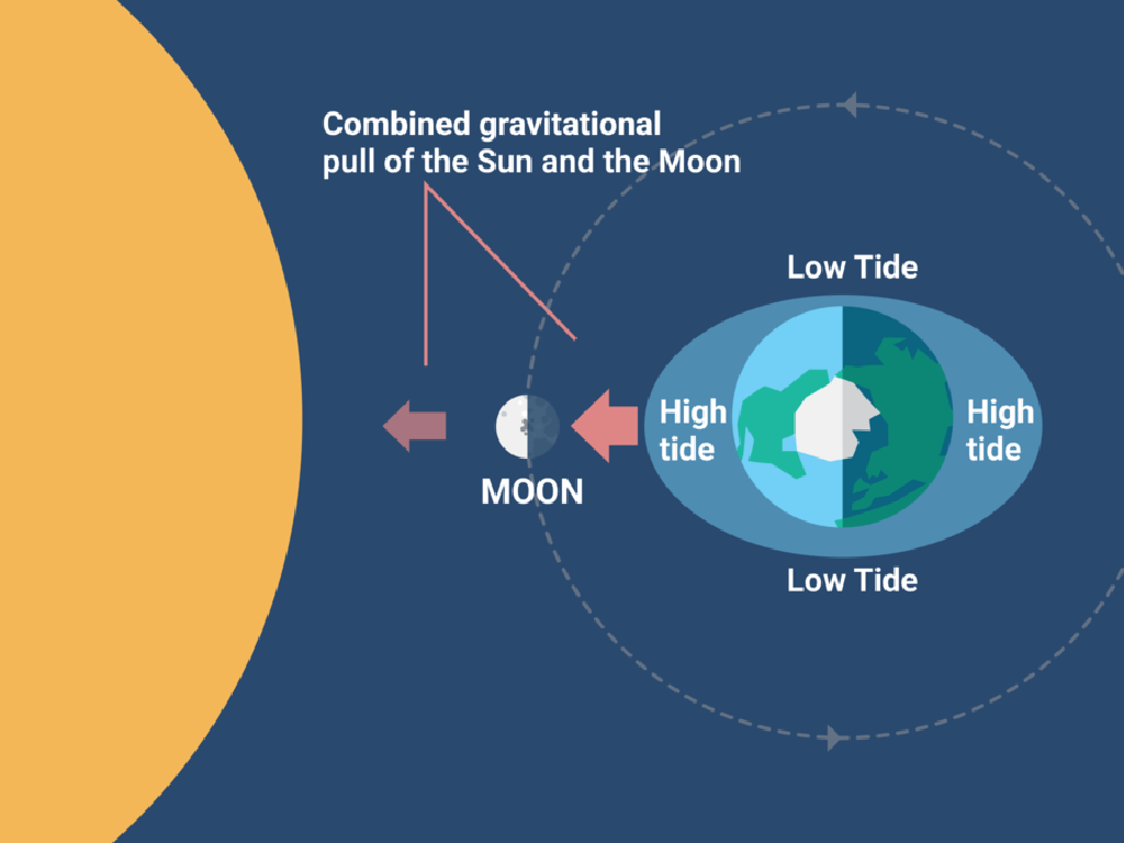 gravitational pull tides