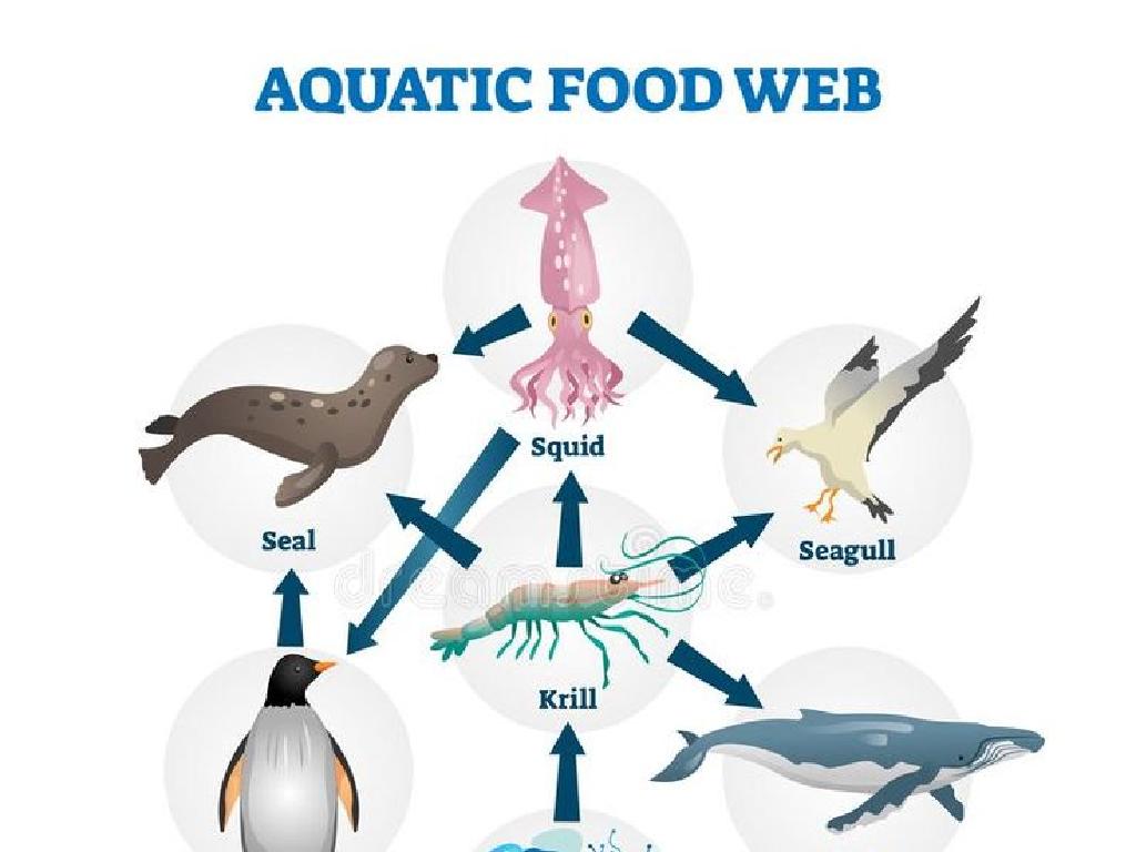 aquatic food web animals