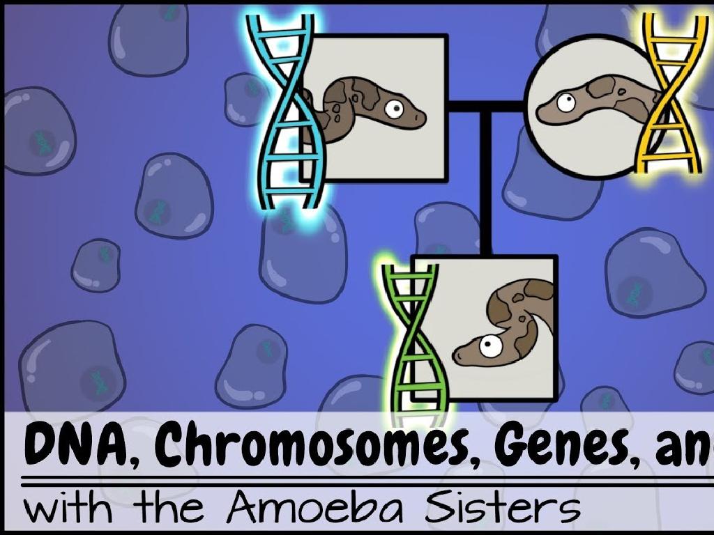 dna chromosomes cartoon