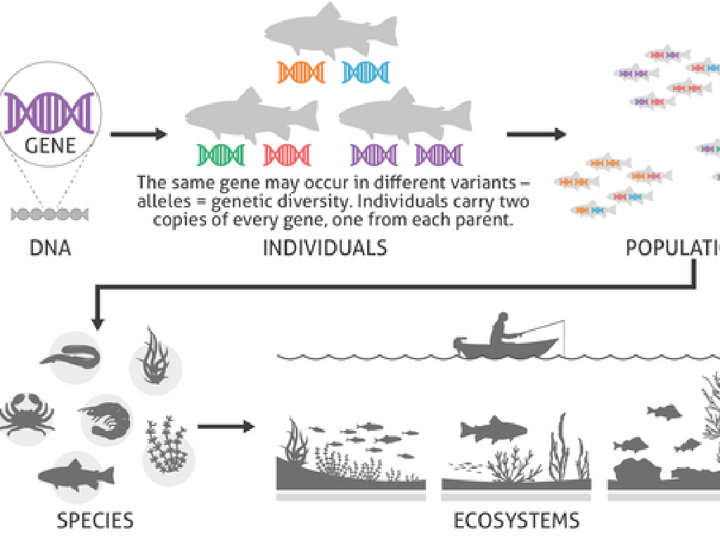 genetic diversity fish impact