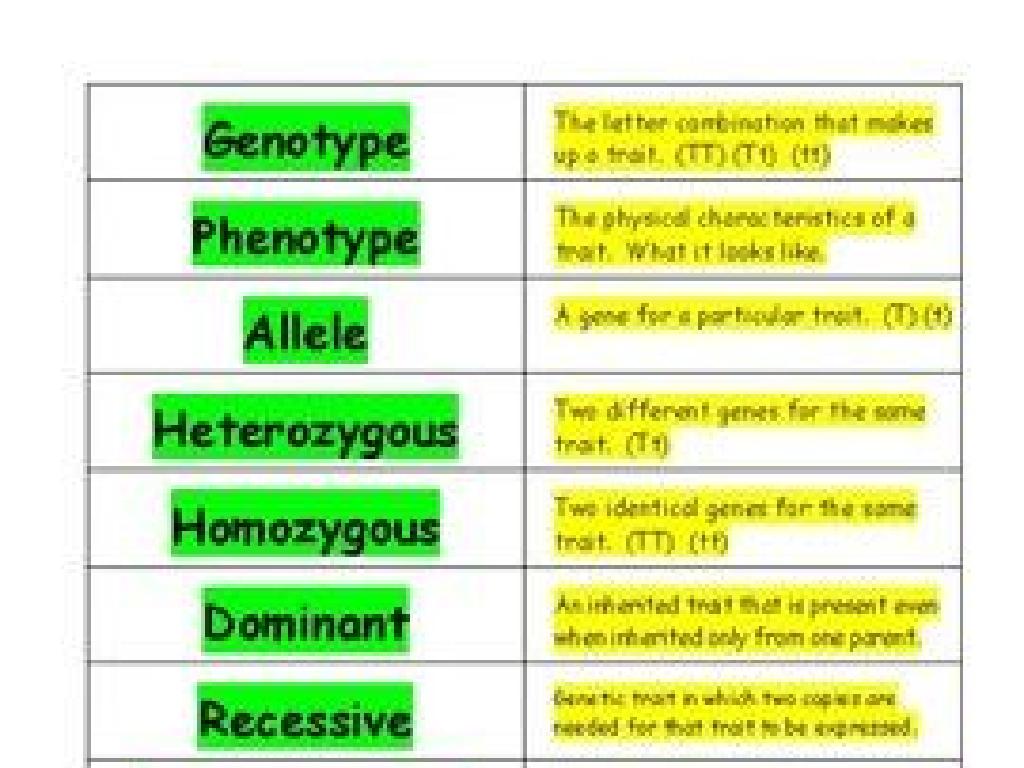 genetic terms chart