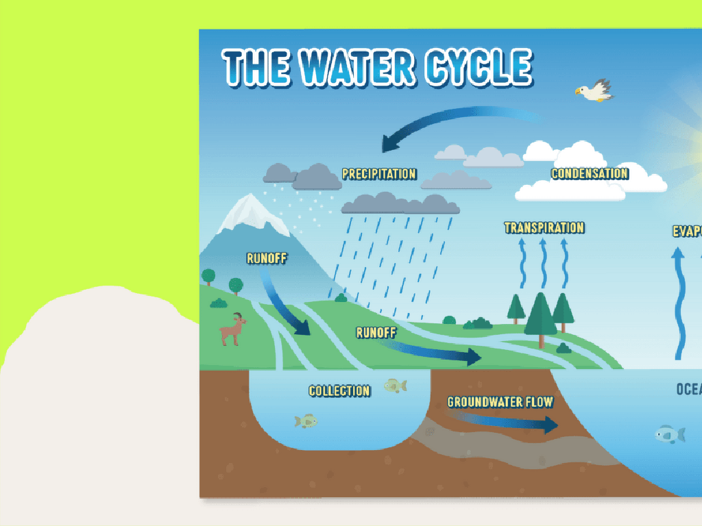 water cycle infographic