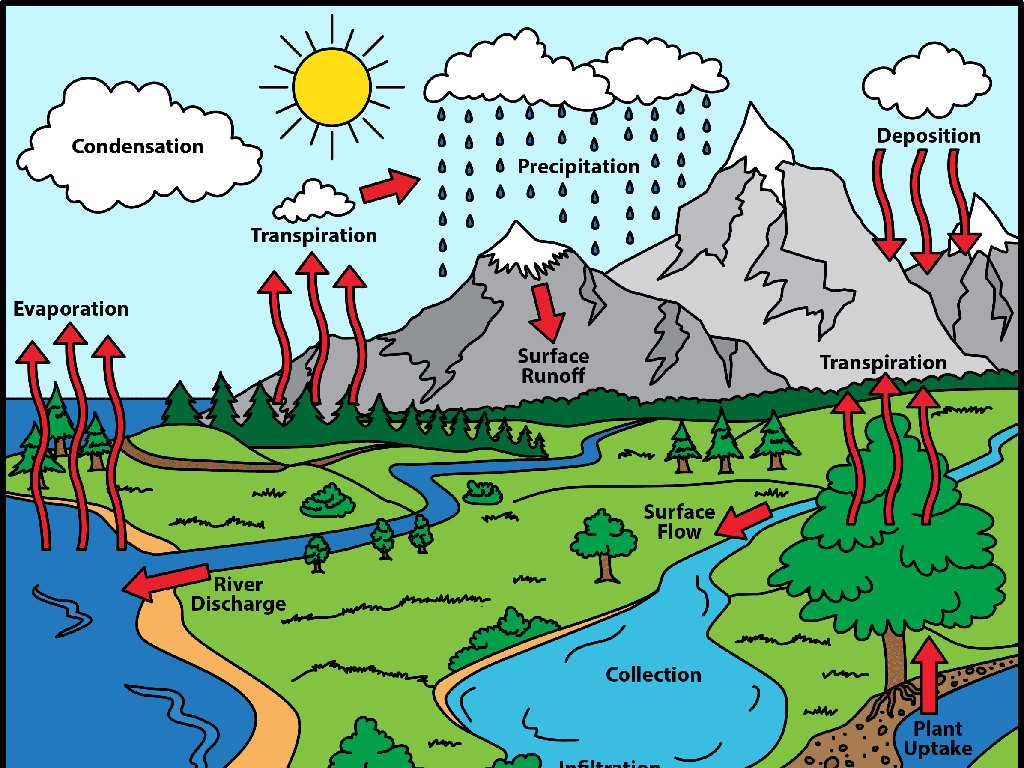 water cycle process