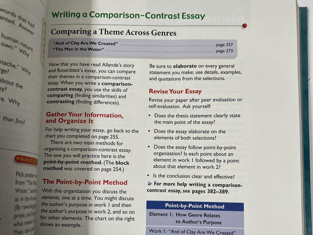 essay organization revising tips