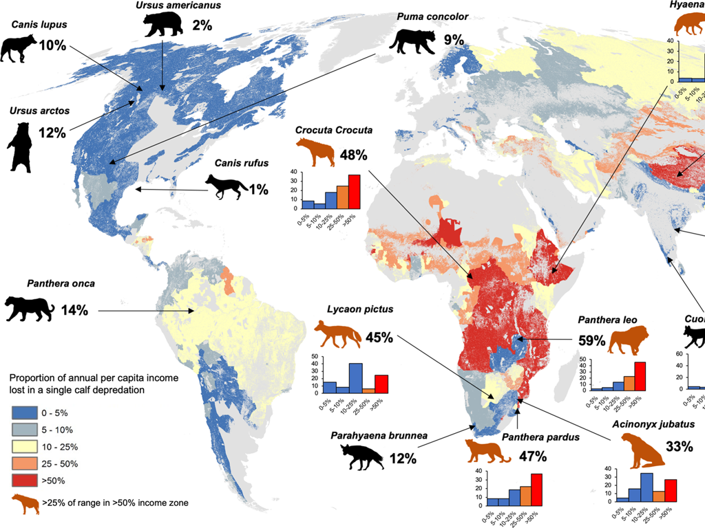 global carnivores income