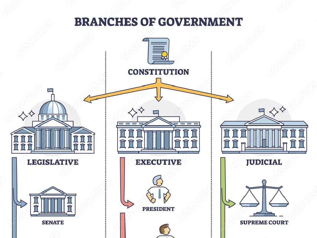 government branches infographic