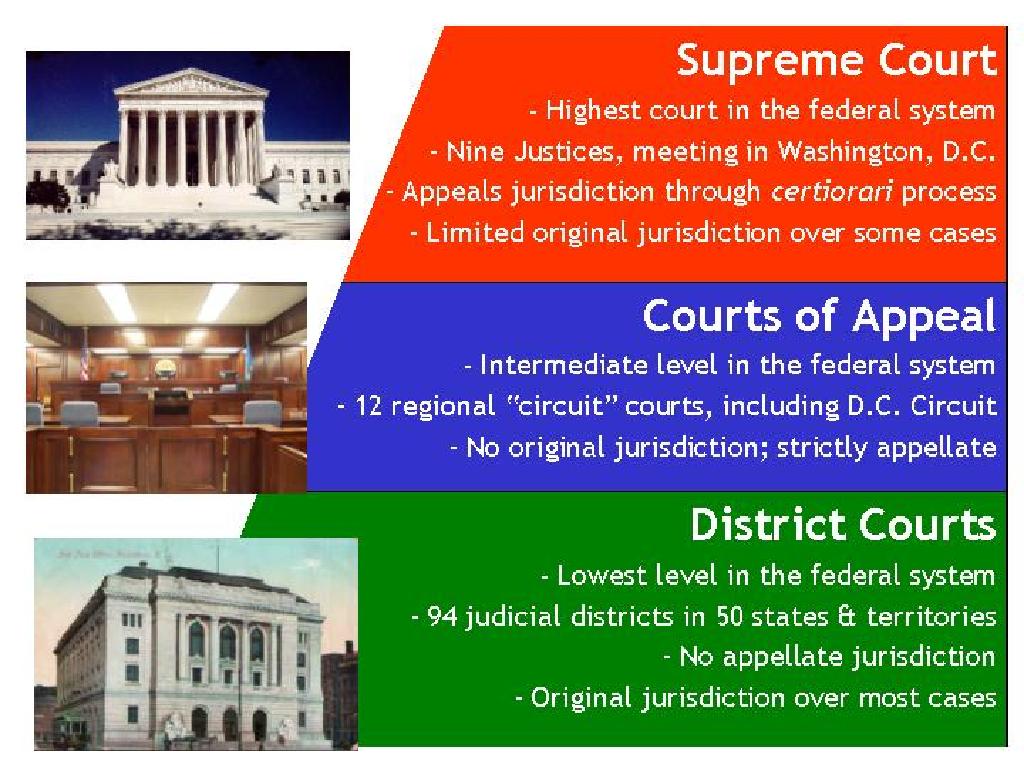 us federal court system