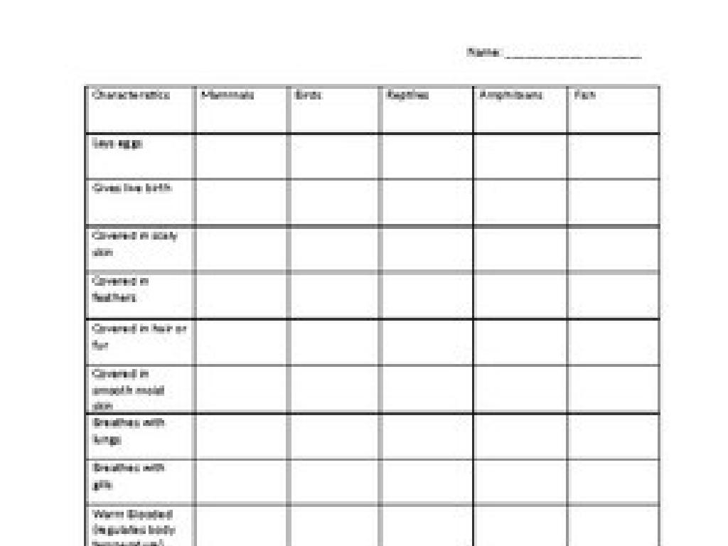 animal classification chart