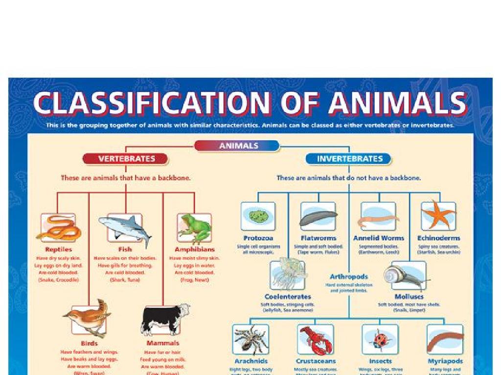 vertebrates invertebrates chart