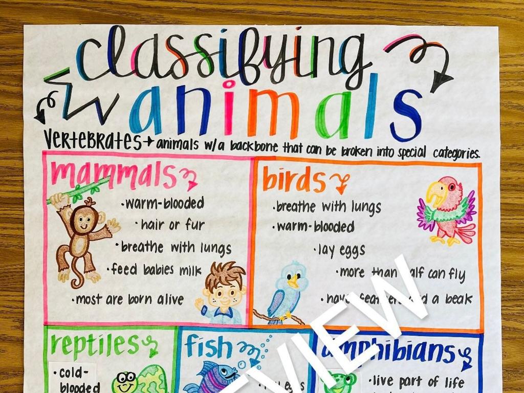 colorful animal classification