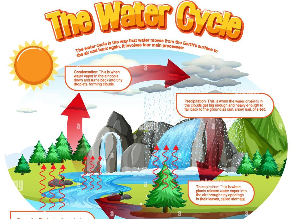 water cycle process diagram