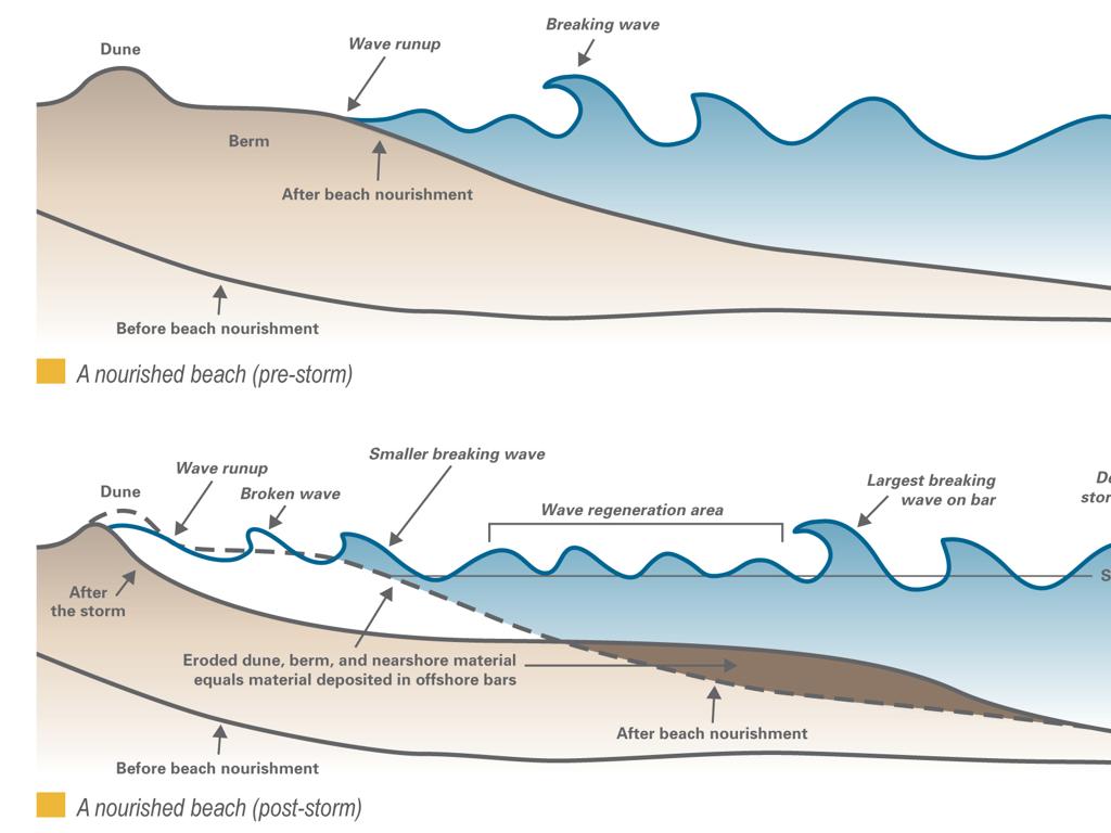 beach nourishment comparison