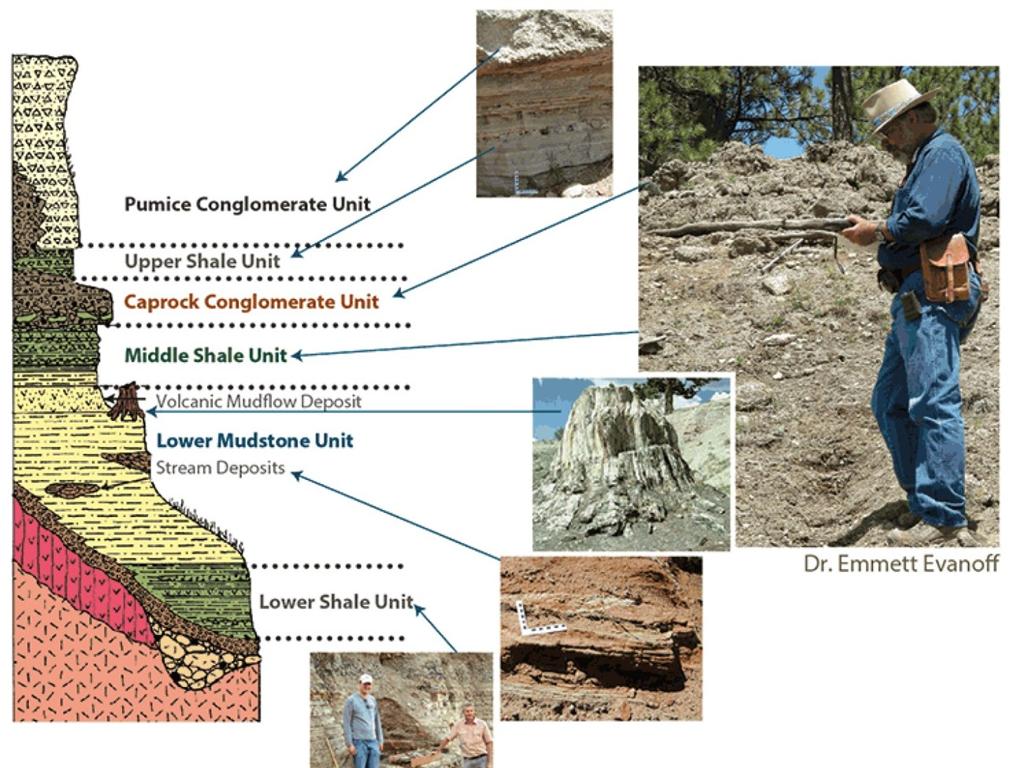 geologist examining rock layers