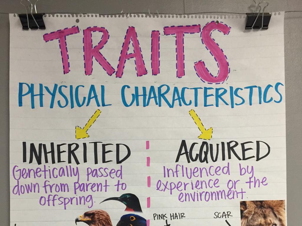 traits physical chart