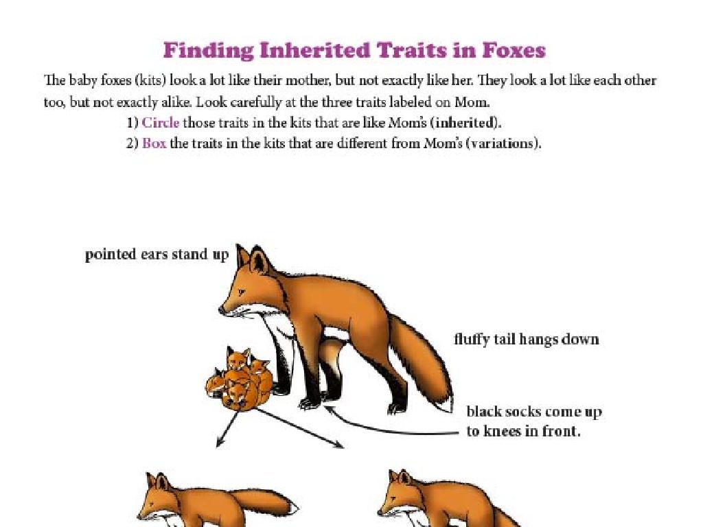 fox inherited traits