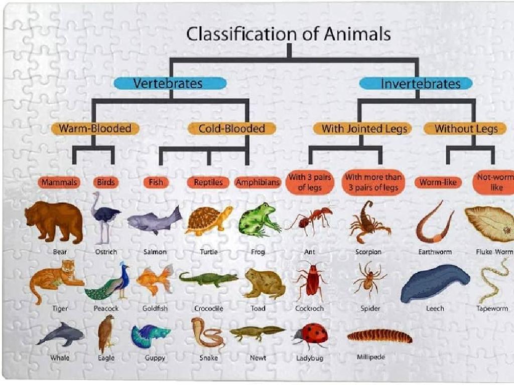 animal classification chart