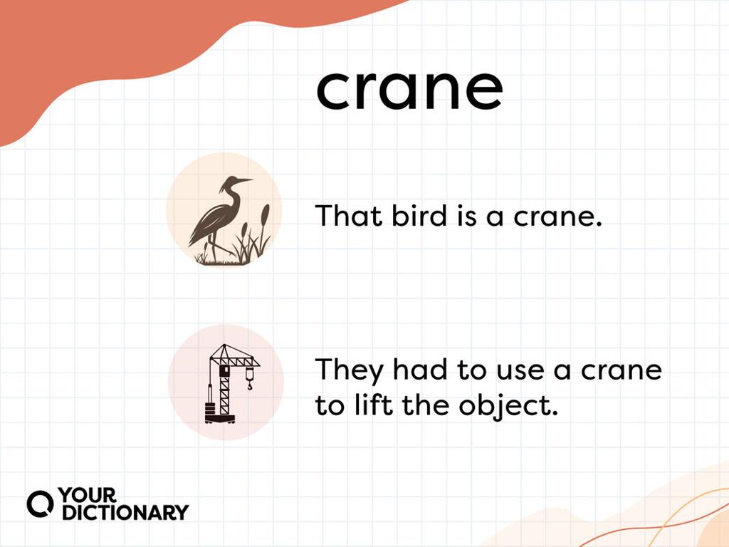 crane meanings illustration