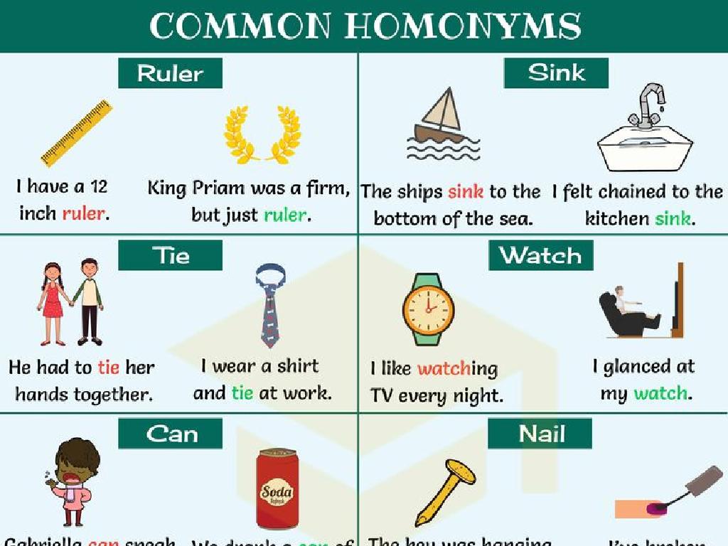 homonyms illustrated infographic