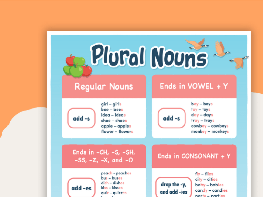 plural nouns infographic