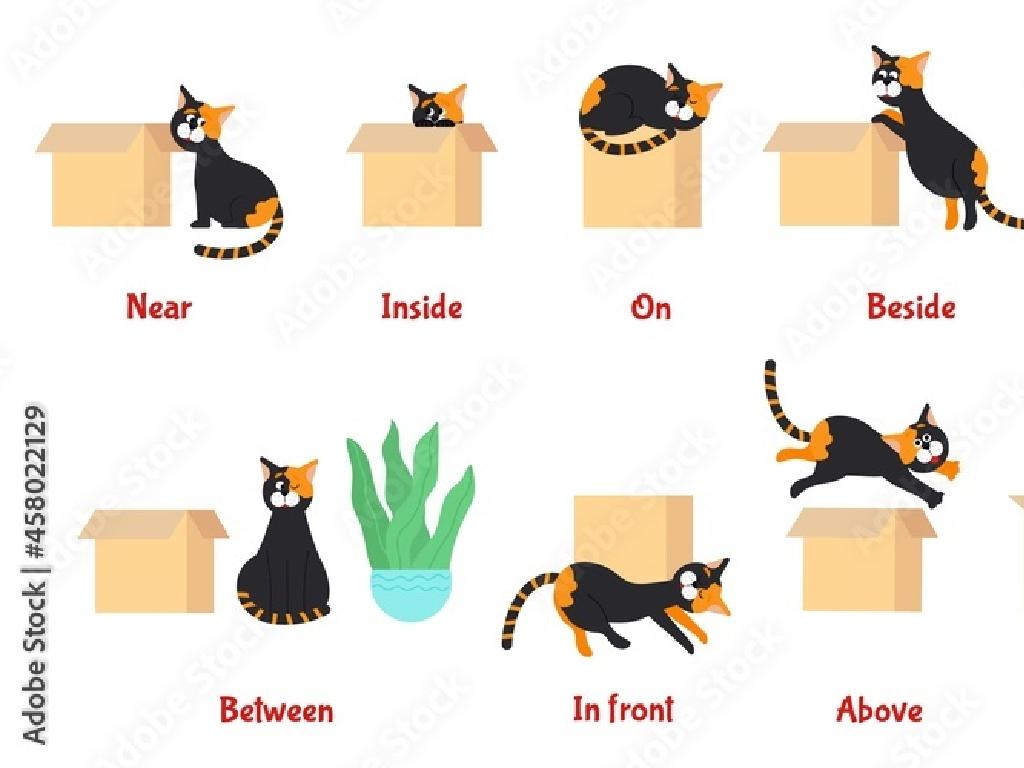 cat prepositions boxes