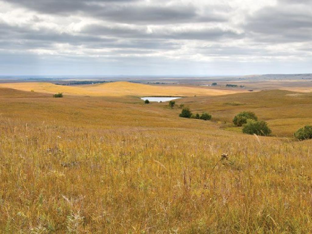 cloudy grassland landscape