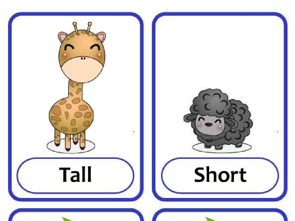 giraffe sheep height comparison