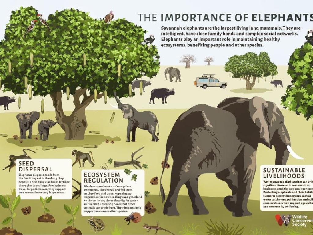 elephants savannah seed dispersal