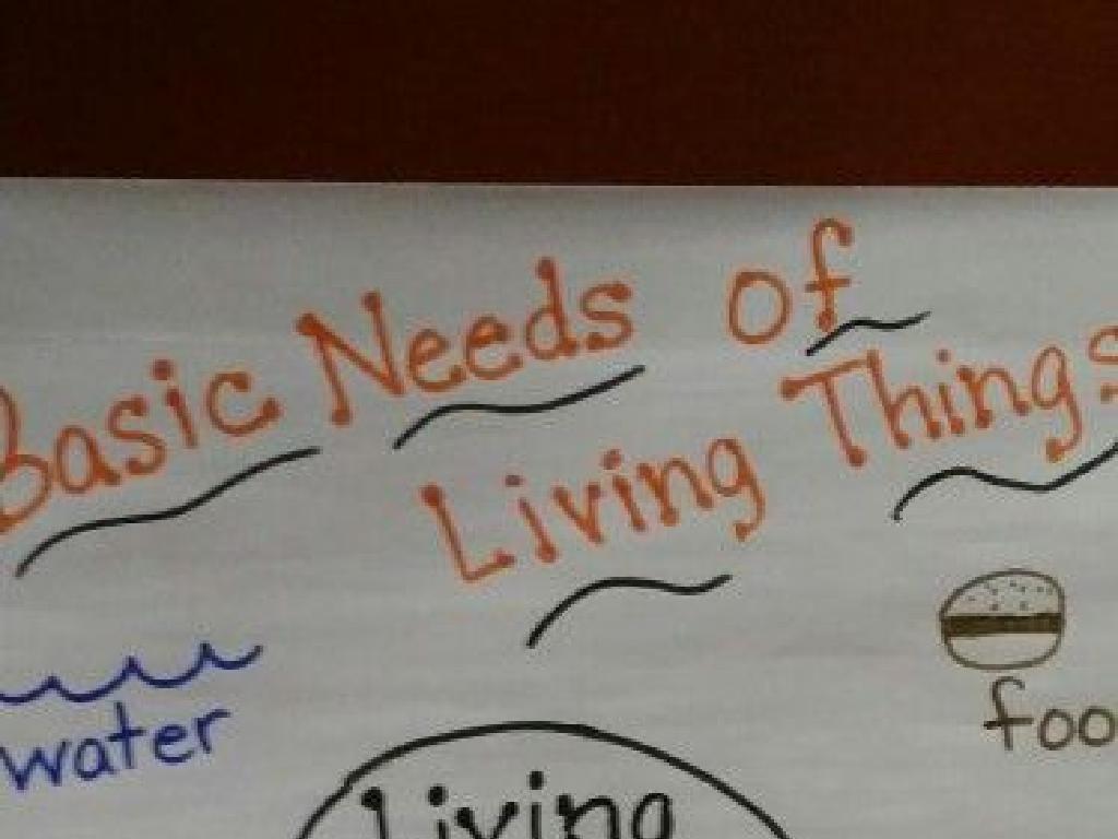 living things needs