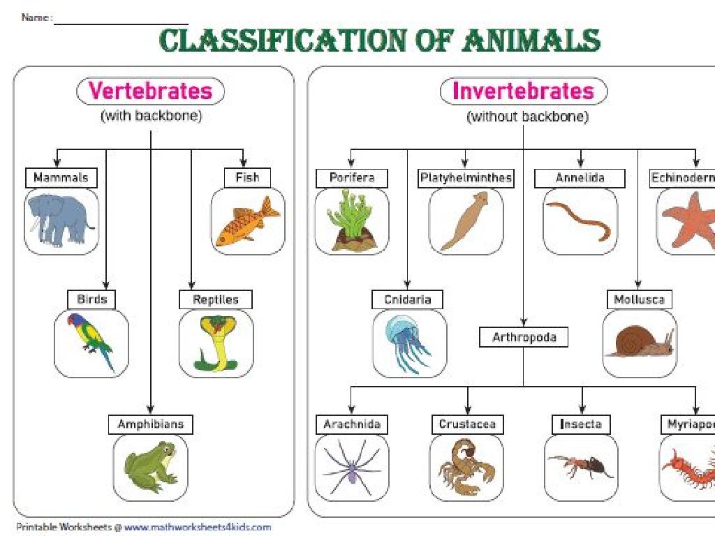 vertebrate invertebrate classification