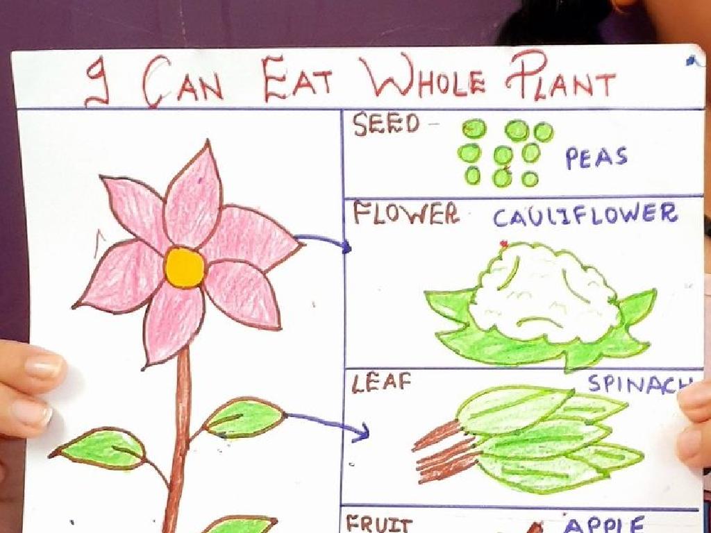 edible plant parts