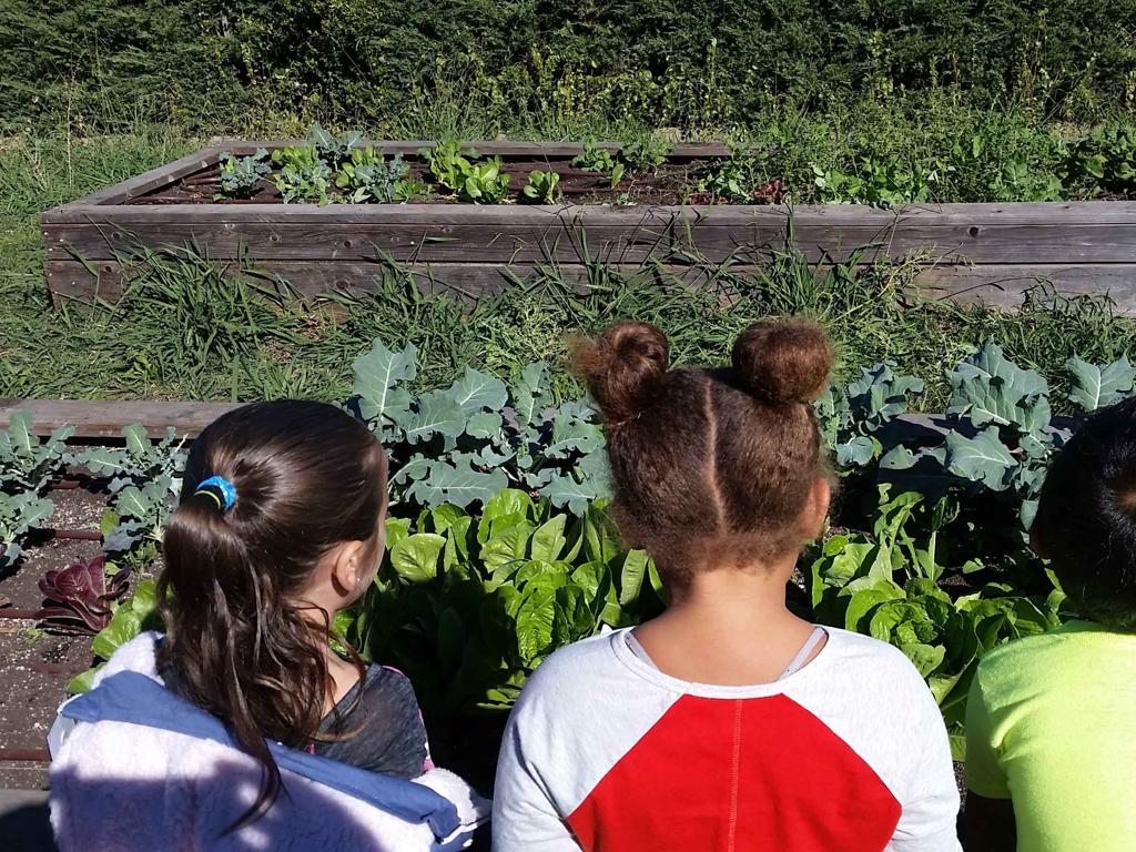 children garden vegetables