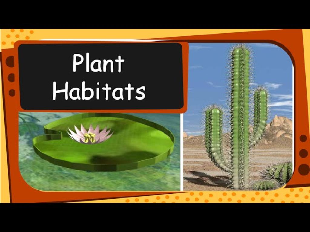 water lily cactus habitat