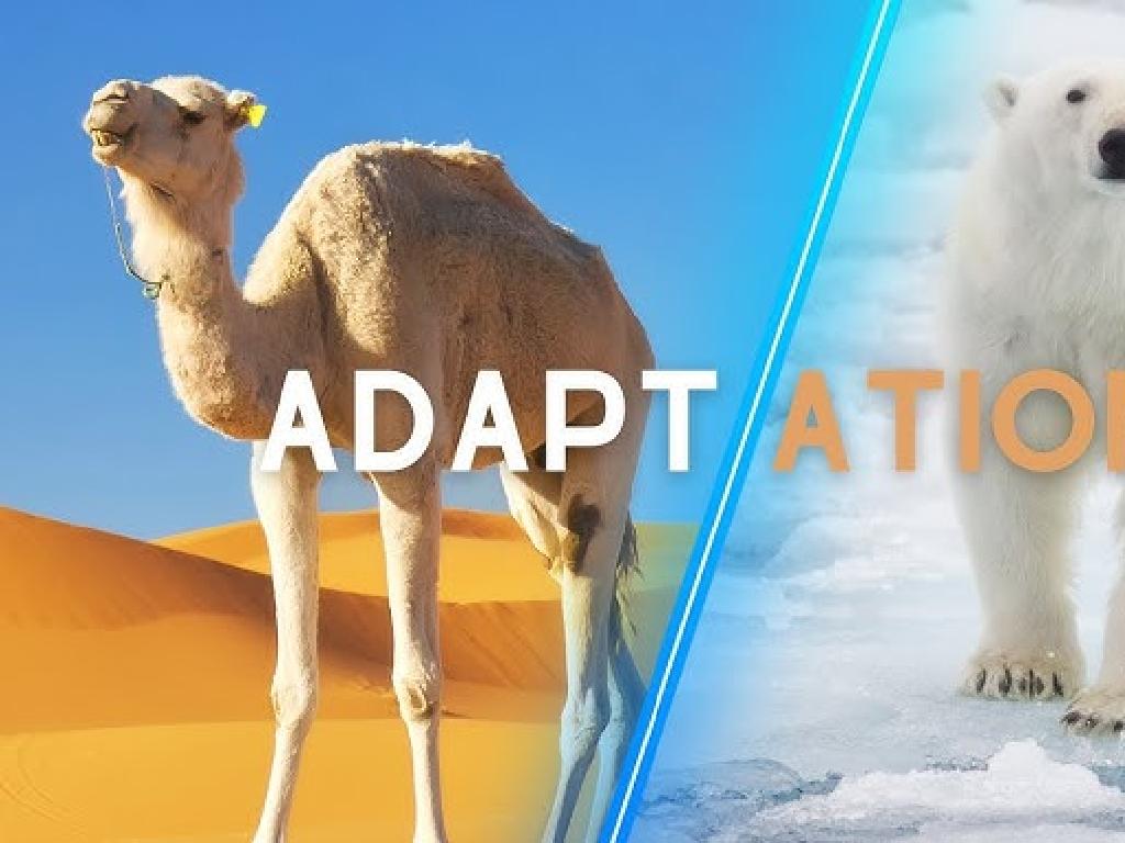 adaptation camel polar bear