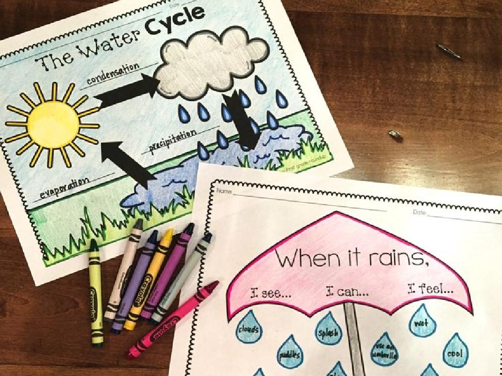 water cycle activity