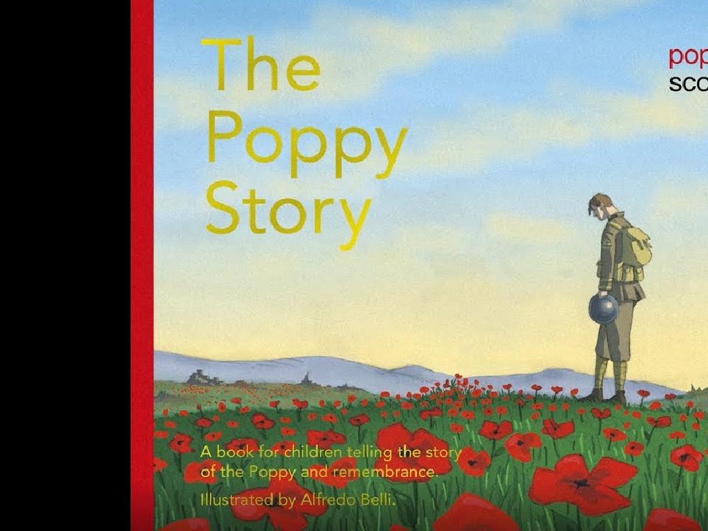 soldier poppy field