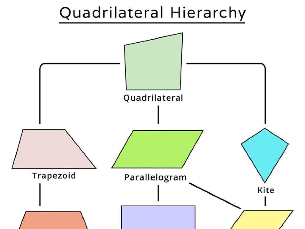 quadrilateral hierarchy shapes