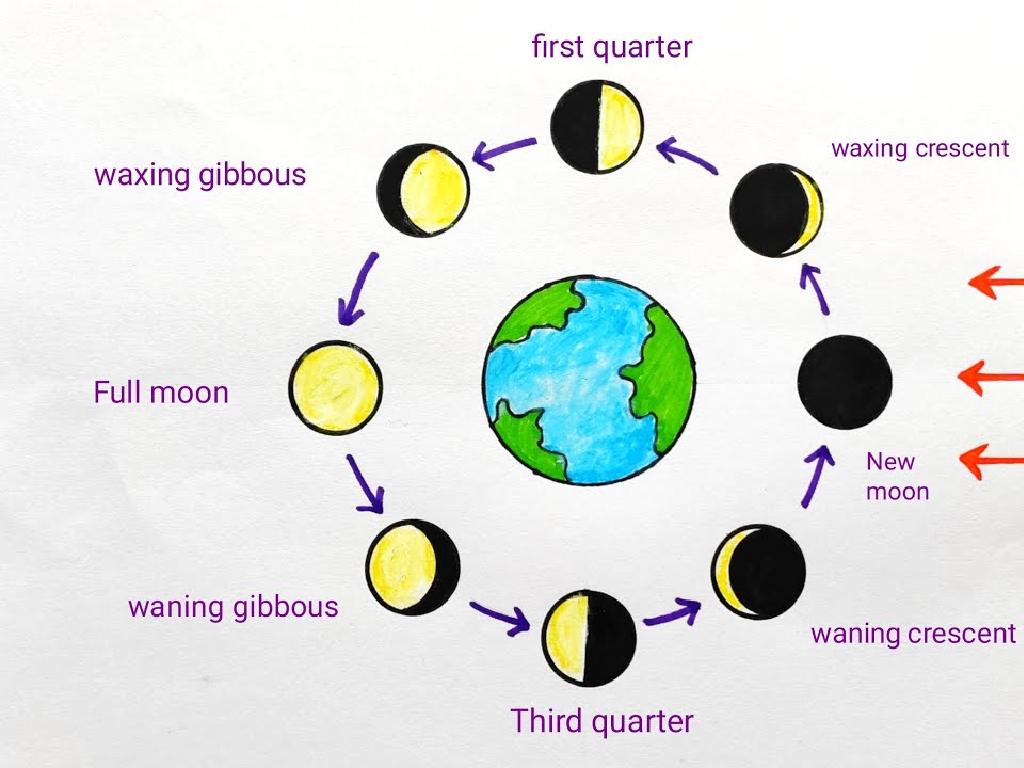 moon phases chart