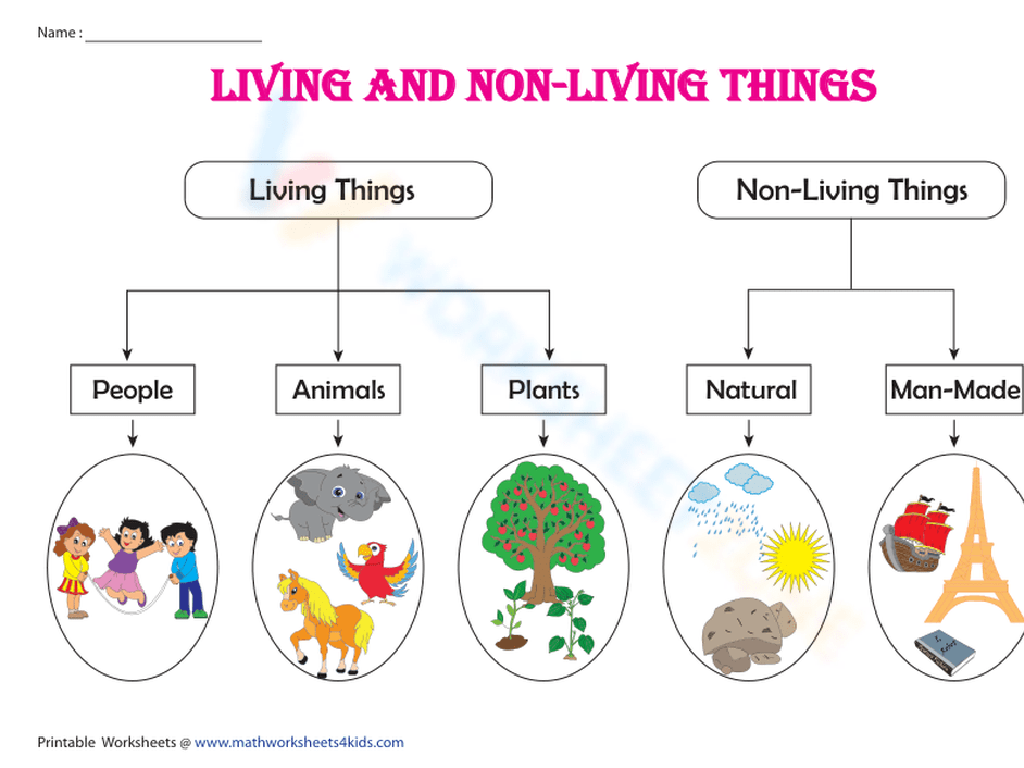 living non-living chart