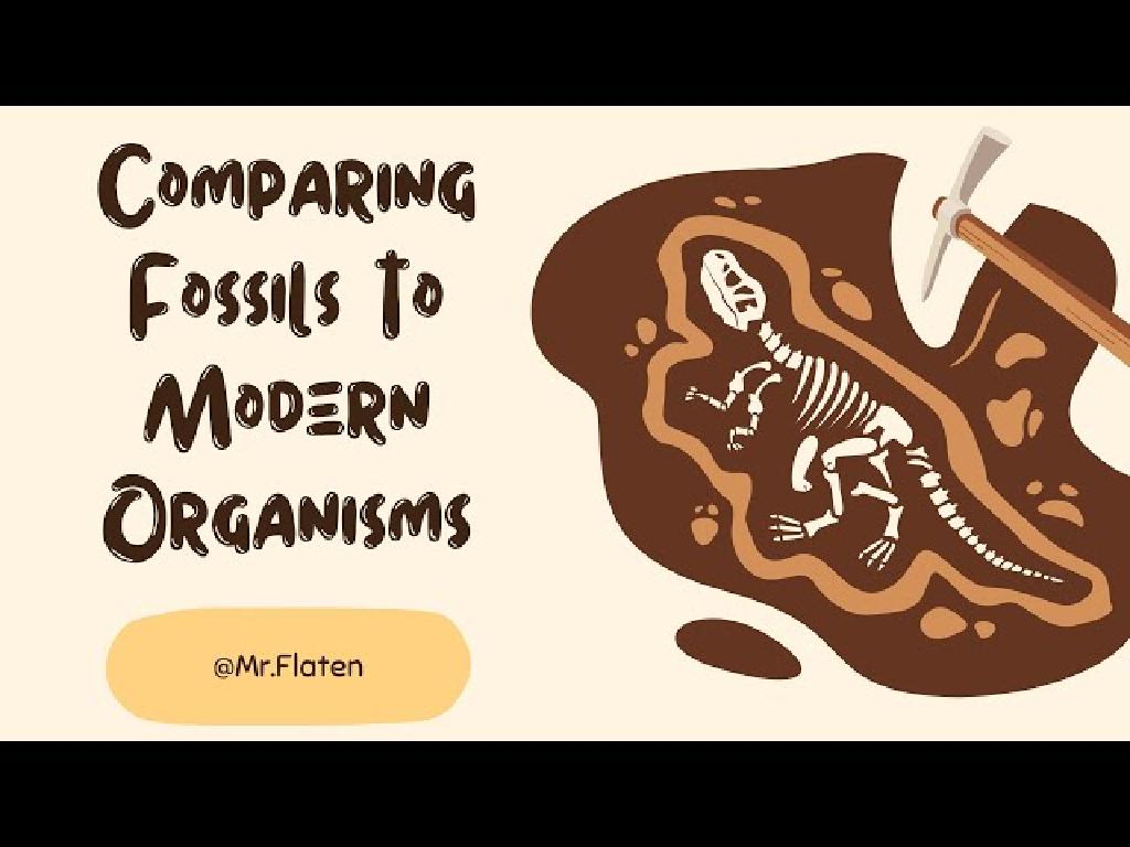 fossil comparison tools