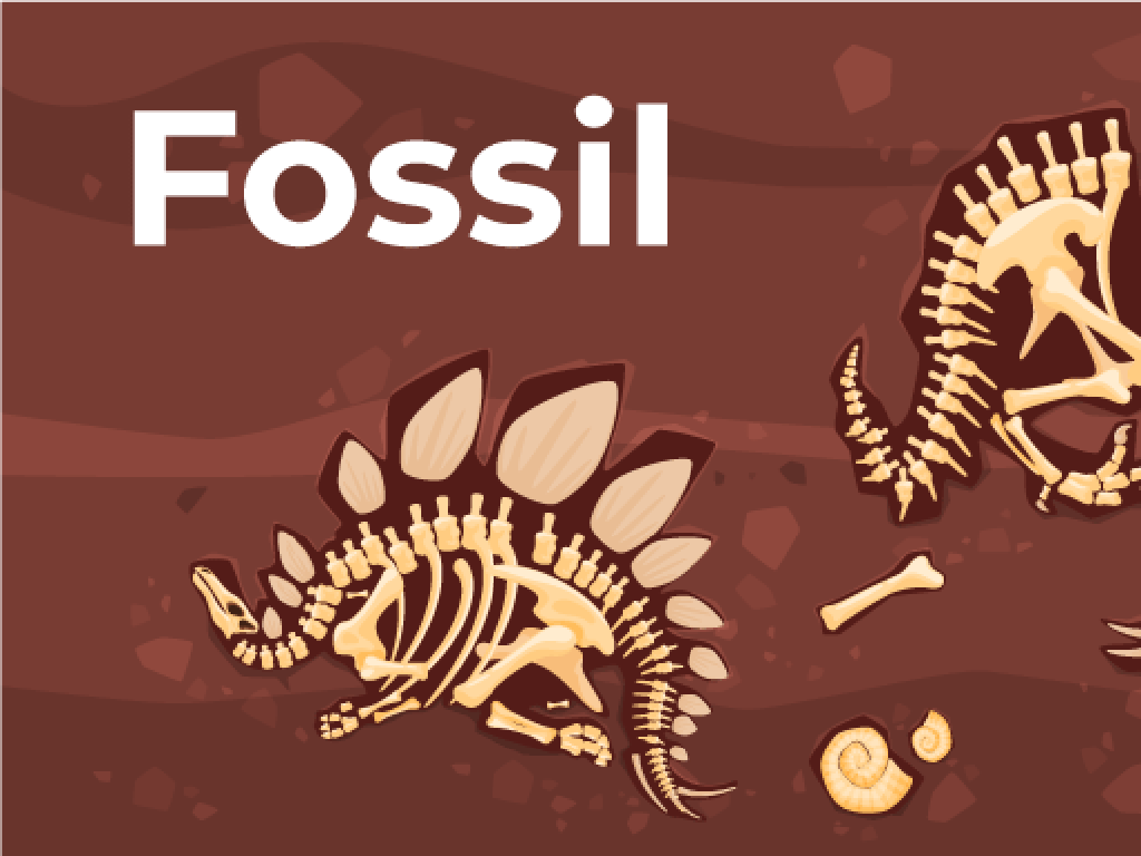 dinosaur fossils soil