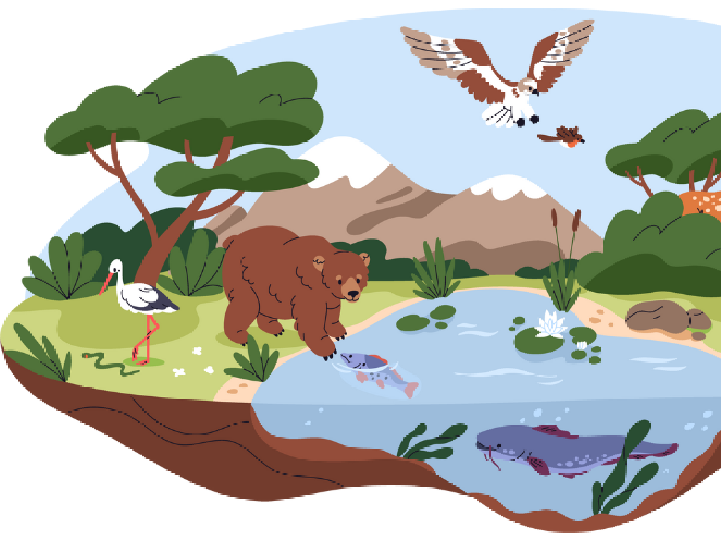 bear fishing pond