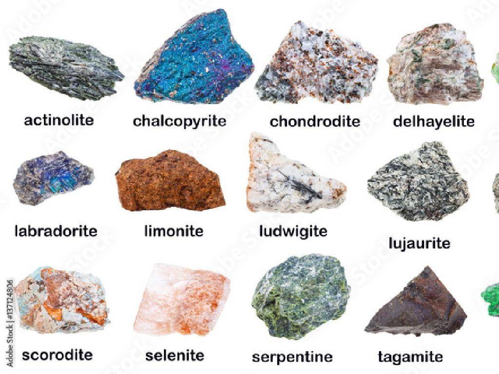 labeled mineral samples