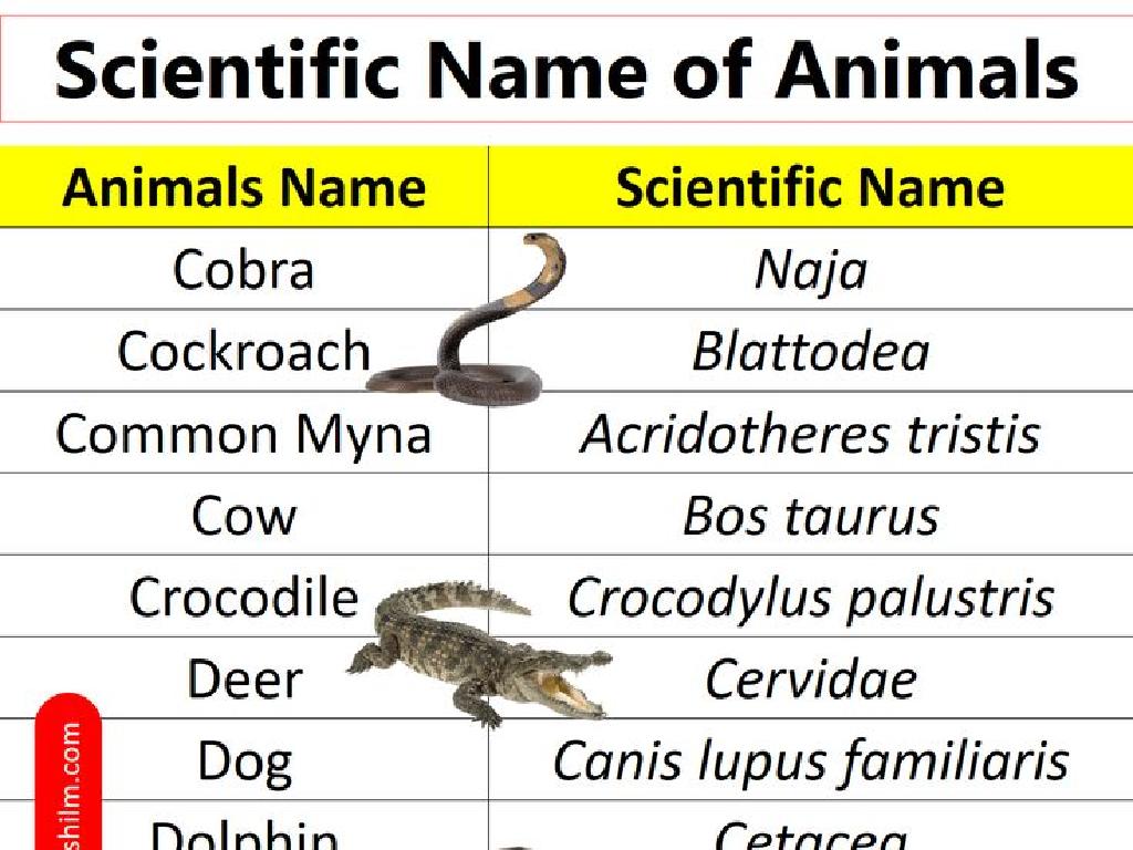 animal scientific names