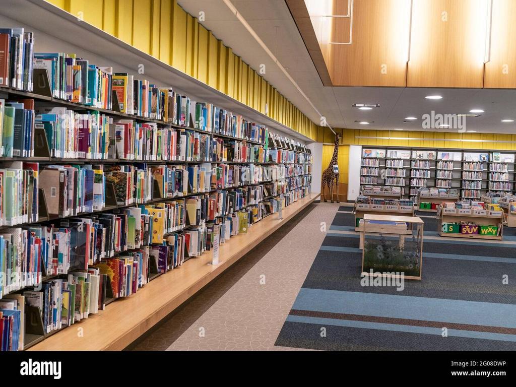 modern library bookshelves